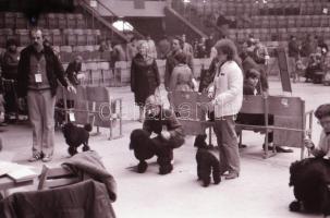 1979 Kutyakiállítás Opole városában (Lengyelo.), 45 db vintage fotó + 72 db vintage negatív (a papír...