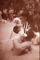 1979 Kutyakiállítás Opole városában (Lengyelo.), 45 db vintage fotó + 72 db vintage negatív (a papír...