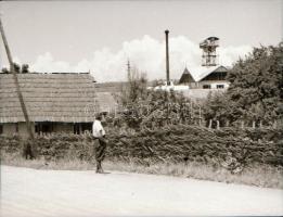 1979 Kutyakiállítás Opole városában (Lengyelo.), 45 db vintage fotó + 72 db vintage negatív (a papír...