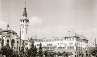 1979 Kutyakiállítás Opole városában (Lengyelo.), 45 db vintage fotó + 72 db vintage negatív (a papír...