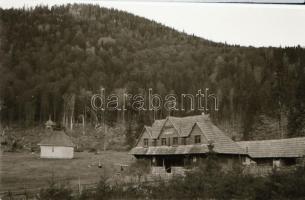 1979 Kutyakiállítás Opole városában (Lengyelo.), 45 db vintage fotó + 72 db vintage negatív (a papír...