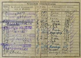 Vegyes papírrégiség tétel: bizonyítványok, igazolványok, fotók, stb., érdekes, átnézésre érdemes any...