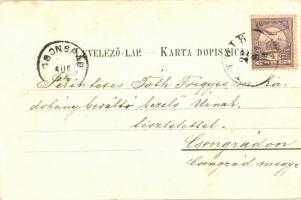 1900 Lipik, Gyógyforrás / Studenac / La grande source  / spring (EK)