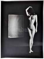 cca 1985 Menesdorfer Lajos (1941-2005) budapesti fotóművész hagyatékából, pecséttel jelzett, feliratozott, vintage fotóművészeti alkotás (Műteremben), 40x30 cm
