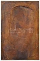 Csillag István (1881-1968) 1908. "Tóth Béla" egyoldalas Br plakett, a Huszár - Procopius k...