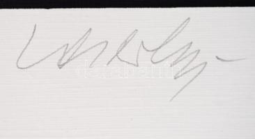 Victor Vasarely (1908-1997): Nyolc sport témájú kompozíció. Mappa 1988. Szitanyomat, papír, egyenkén...