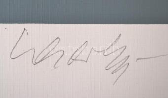 Victor Vasarely (1908-1997): Nyolc sport témájú kompozíció. Mappa 1988. Szitanyomat, papír, egyenkén...