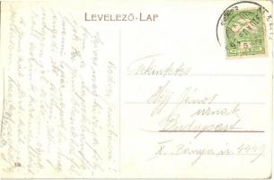 1910 Lippa, Lipova; Híd utca, Herzog Josef üzlete / street view with shop and bridge