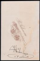 cca 1868 Hüber Lajos m. k. adótárnok portréja, feliratozva, B. Salomon pesti műtermében készült, kab...