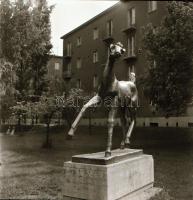 cca 1960 és 1980 között készült 21 db vintage negatív Budapest, X. kerületében, azaz Kőbányán (épüle...