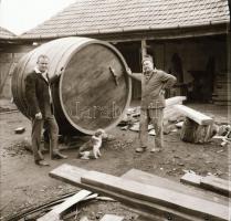 cca 1968 Velence, Agárd, 25 db vintage negatív Sinka Antal (?-?) hagyatékából, aki a velencei AGROKOMPLEX fotósa volt az 1960-as, 1970-es években, 6x6 cm