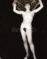 cca  Modellek egymás után, szolidan erotikus felvételek vegyesen, 13 db vintage fotó és/vagy mai nag...