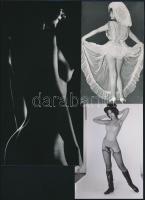 cca Szolidan erotikus felvételek vegyesen, 13 db vintage fotó és/vagy mai nagyítás, + 12 db vintage ...