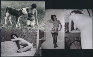 cca Szolidan erotikus felvételek vegyesen, 13 db vintage fotó és/vagy mai nagyítás, + 12 db vintage ...