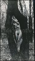 cca 1970 Fűben, fában van az orvosság, szolidan erotikus vintage fotó, 24x14 cm
