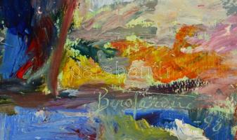 Biró Ferenc (1921-2001): Virágcsendélet, olaj, karton, jelzett, keretben, 60×44  cm