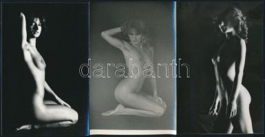 cca 1975 Esti, testi örömök, szolidan erotikus felvételek, 11 db vintage fotó és/vagy mai nagyítás v...