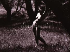 cca 1972 Szabadtéri helyszíneken, szolidan erotikus felvételek, 34 db vintage negatív, 24x36 mm