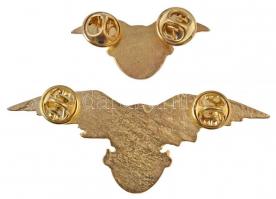 DN "A Turul Őrzője" aranyozott, zománcozott jelvény (2x) klf méretben (27x75mm és 17x42mm)...