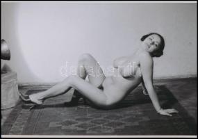 cca 1975 Nincs két egyforma, szolidan erotikus felvételek, 8 db vintage fotó és/vagy mai nagyítás ve...