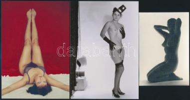 cca 1975 Nincs két egyforma, szolidan erotikus felvételek, 8 db vintage fotó és/vagy mai nagyítás ve...