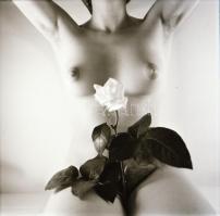 cca 1986 Válogatás a negatívtárból, szolidan erotikus felvételek, 13 db vintage negatív, 6x6 cm