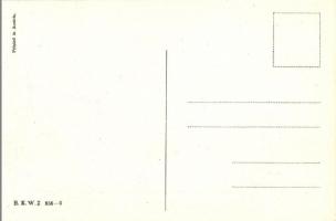 Wiener art postcard. Lady with parrot. B.K.W.I. 656-6. s: Mia Witt