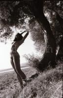 cca 1975 Harmónia, szolidan erotikus felvételek, 8 db vintage fotó és/vagy mai nagyítás vegyesen, + ...