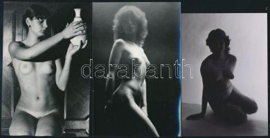 cca 1975 Harmónia, szolidan erotikus felvételek, 8 db vintage fotó és/vagy mai nagyítás vegyesen, + ...