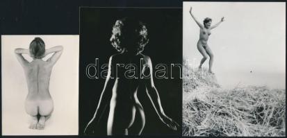 cca 1975 Harmónia, szolidan erotikus felvételek, 8 db vintage fotó és/vagy mai nagyítás vegyesen, + ...