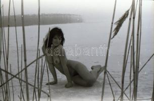 cca 1977 Bájos formák kavalkádja, szolidan erotikus felvételek, 7 db vintage fotó és/vagy mai nagyít...