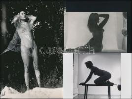 cca 1977 Bájos formák kavalkádja, szolidan erotikus felvételek, 7 db vintage fotó és/vagy mai nagyít...