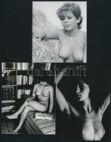 cca 1977 Bájos formák kavalkádja, szolidan erotikus felvételek, 7 db vintage fotó és/vagy mai nagyít...