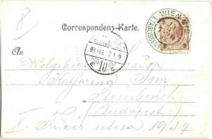 1898 Vienna, Wien; Gruss aus Venedig in Alt-Wien. So. Stpl, litho (EK)