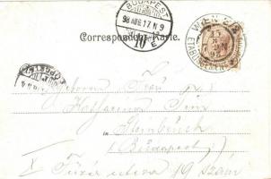 1898 Vienna, Wien; Venedig. Art Nouveau, floral, litho. So. Stpl (EK)