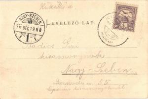 1901 Kiskapus, Kleinkopisch, Copsa Mica; Vasútállomás. Kiadja Fritz Guggenberger / Bahnhof / railway...