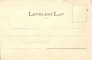 Segesvár, Sighisoara; Petőfi és Fehéregyházi szabadságharc szobrok. Vándory Ferenc kiadása / statues...