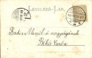 1904 Temesvár, Timisoara; Gyárváros, M. kir. állami tanítóképezde / Fabrica, teachers training insti...