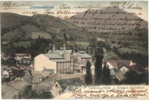 1905 Csiklovabánya, Csiklóbánya, Csiklova, Ciclova Montana; sörfőzde. Weisz Félix kiadása / Bräuhaus / brewery