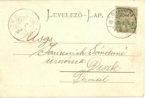 1905 Csiklovabánya, Csiklóbánya, Csiklova, Ciclova Montana; sörfőzde. Weisz Félix kiadása / Bräuhaus...