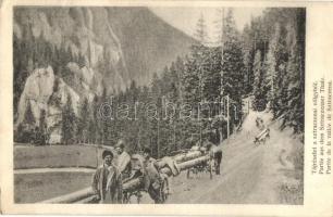 1909 Sztracenai-völgy, Stracenovska dolina, Stratena; fakitermelés, faszállítók. Kiadja Fehér E. / wood transporters, logging workers (EK)