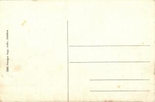 Bodrogszerdahely, Streda nad Bodrogom; Báró Vécsey kastély. Hangya fogy. szövetkezet kiadása / castl...