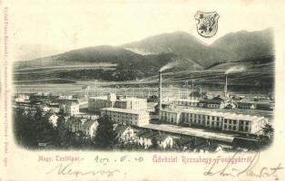 1902 Rózsahegy, Ruzomberok; Magy. Textilipar Fonógyára. Franz Zsiwotsky / spinning mill (factory) of the Hungarian textile industry