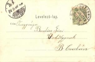 1904 Pozsony, Pressburg, Bratislava; Második (II. dik) Bimbóház. No. 55. Gelbers Ansichtskartenausst...