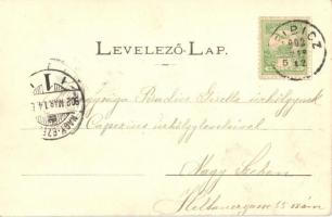 1902 Leibic, Leibitz, Lubica; Fő utca, Evangélikus templom, Rózsa menház. Lindtner Gyula kiadása / m...