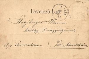 Gács, Halic; vár. Redlinger Ignác tulajdona / Schloss / castle  (Rb)