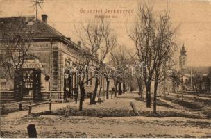 1907 Verbász, Vrbas; Damjanich utca, Ifj. K. Károly üzlete és vaskereskedése. W.L. 817. / street view with shop