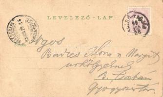 1899 Salgótarján, Huszár-féle ház, Gyógyszertár az Őrangyalhoz és a magyar Koronához, Bányaigazgatós...