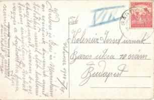 1918 Velence, Báró Gudenus kastély