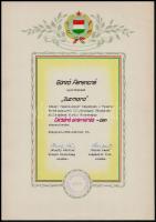 1960, 1962 "Zúzmara és Szabad hazánk 15 éve", 2 db díjazott fotó, 23×17 cm